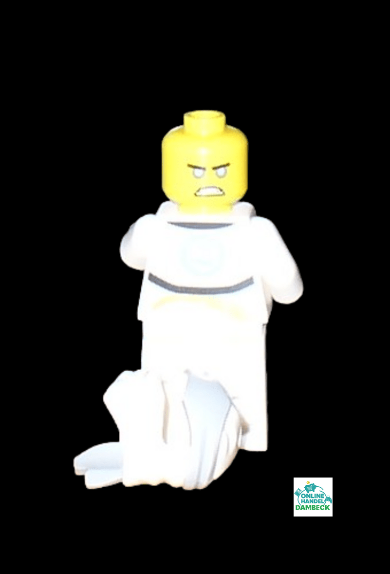 Lego Ninjago Zane # 1 NJO 670