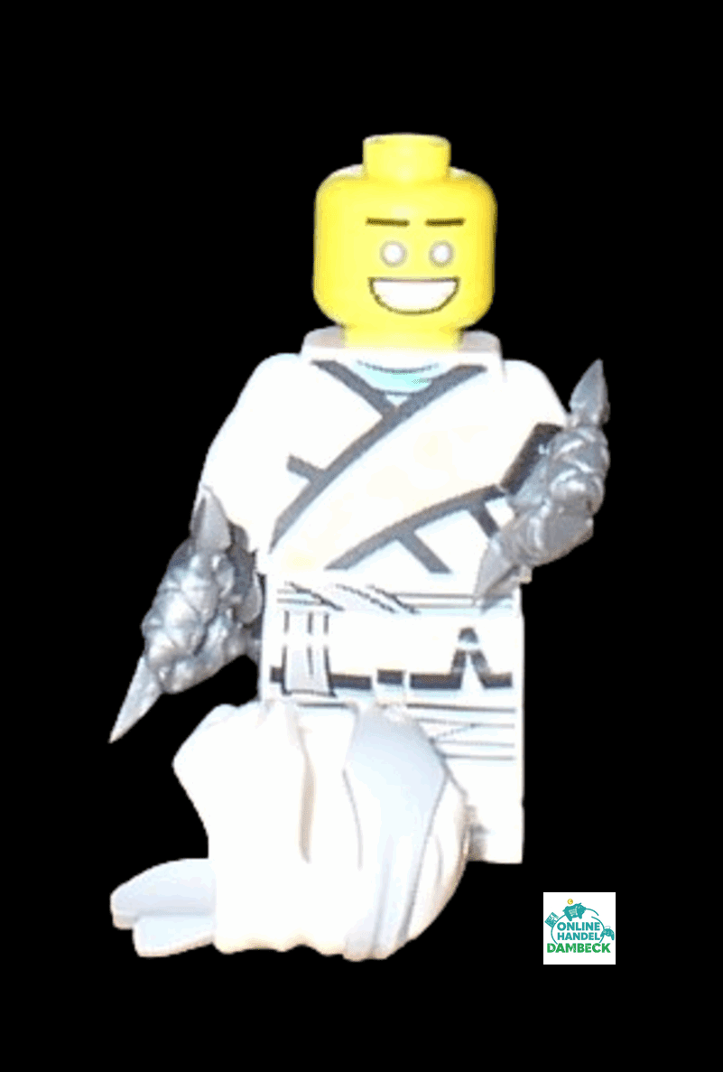 Lego Ninjago Zane # 1 NJO 670
