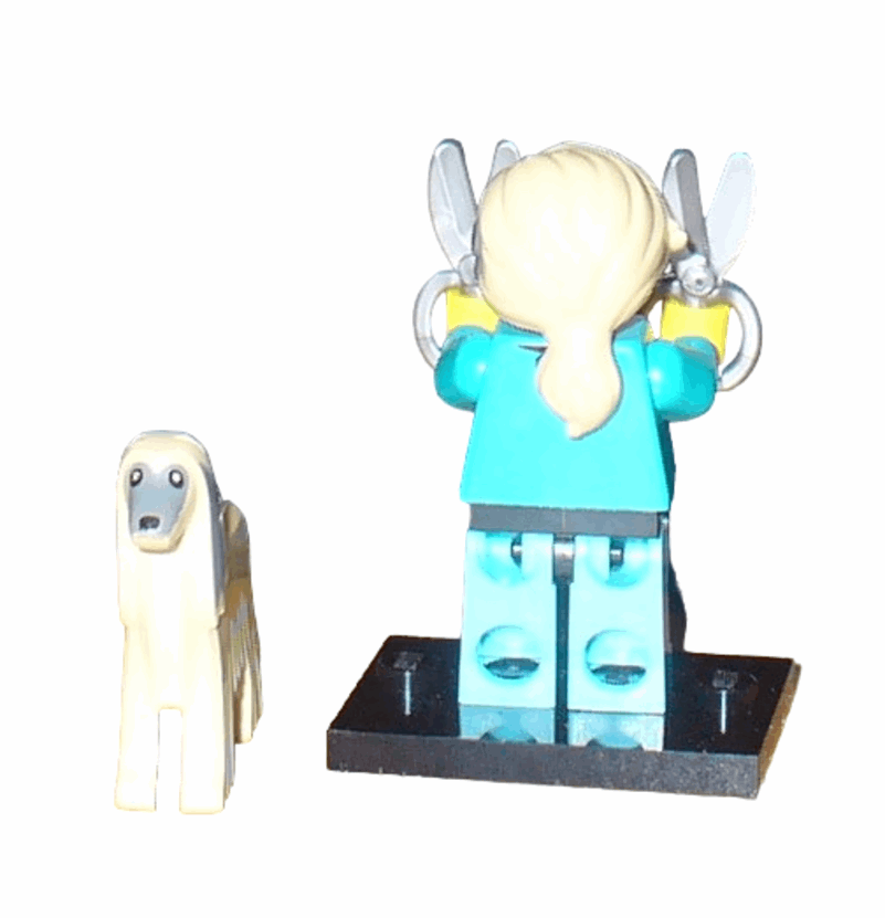 LEGO® Minifiguren „Serie 25“ # 71045 Serie zum wählen NEU (# 12 Hunde Friseurin)